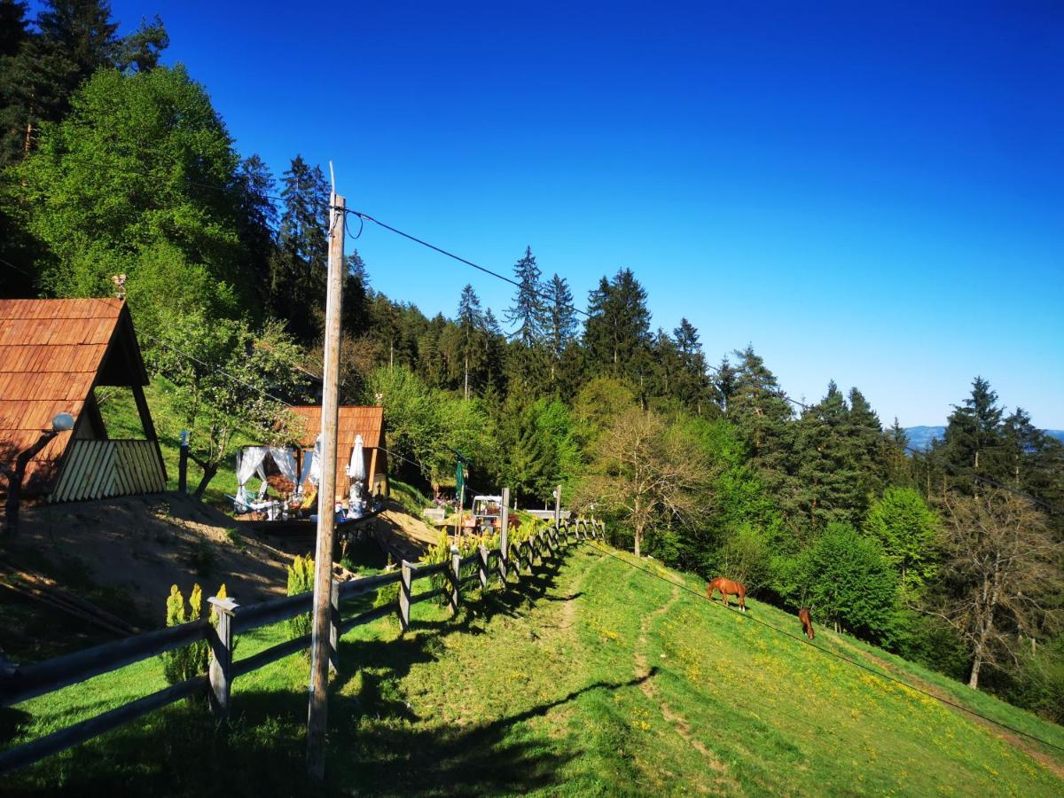 Hotel Glamping Mm Muta Exterior foto
